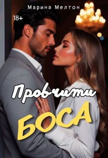 Провчити Боса