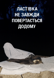 Ластівка не завжди повертається додому 
