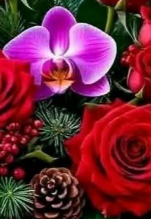 Привіт минуле