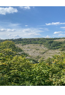 Поцілунок неба