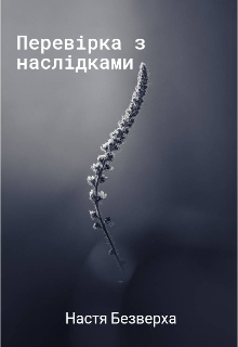Перевірка з наслідками 