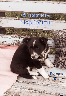 В пам'ять Чорногірці 