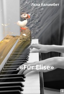 «für Elise» 