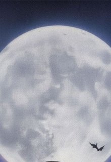 Nightmares (script)