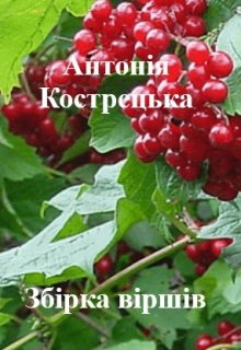 Збірка віршів