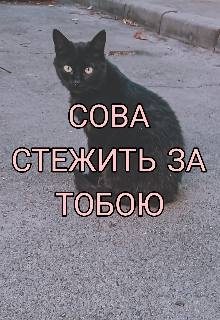 Сова стежить за тобою