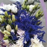 Пані Педантка