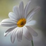 Ярина Левчук