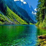 Віктор Вінниця