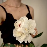 Кейт Лейвен