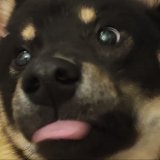 Олексій Некробант