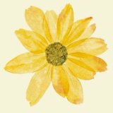 Емілія Зінченко