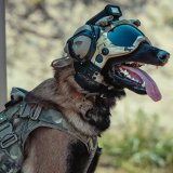 Снайдер вольф