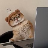 Вікторія Мірошниченко