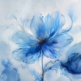 Селін Морфо