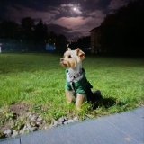 Містичний Вітер